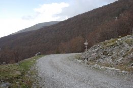 DSC1 (42).jpg
